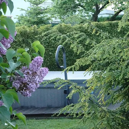 Nr. 13 - Guest house Pirna